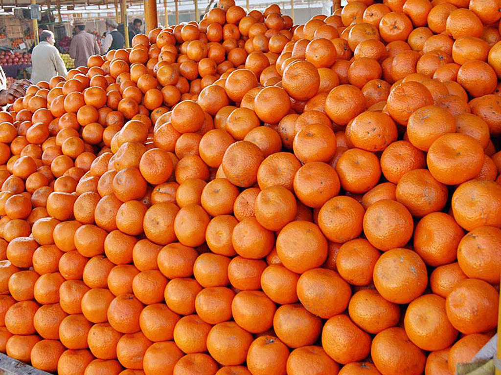 Sun Gold Kinnow stacked at the wholesale fruit market